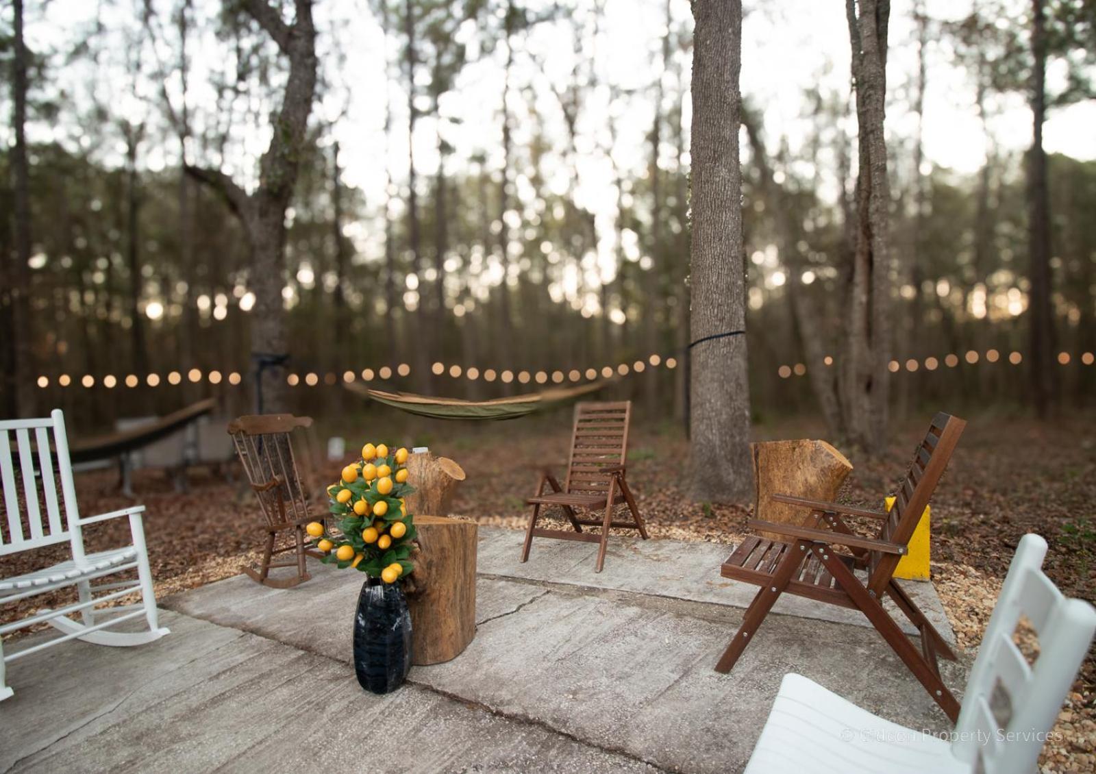 3/2 Uf Wooded Paradise Retreat Gainesville Eksteriør billede