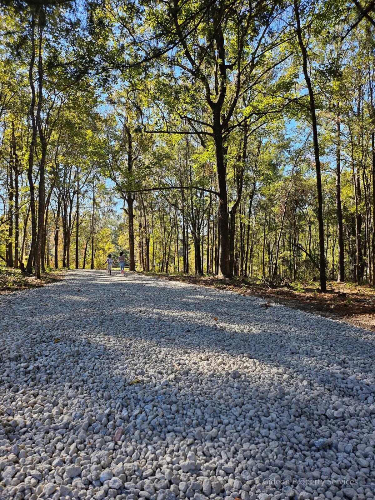3/2 Uf Wooded Paradise Retreat Gainesville Eksteriør billede