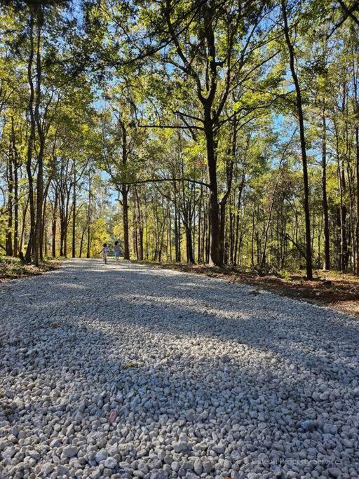 3/2 Uf Wooded Paradise Retreat Gainesville Eksteriør billede